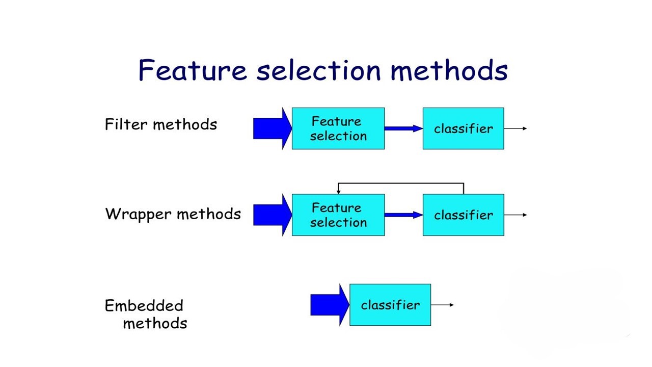 Effective Feature Selection Techniques for Improved Model Performance